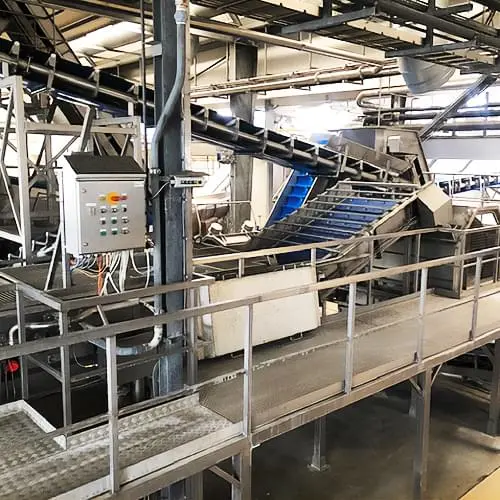 Complete Vegetable Production Lines